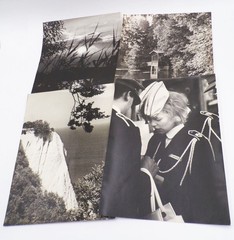 Bundle Photographs Large Format GDR Animals Everyday Professions Vintage Photos