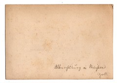 Photograph album Albrechtsburg Meissen Cathedral Elbe Saxony around 1885 (120)