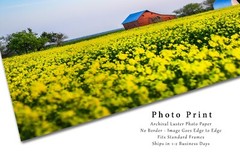 Country Photography Print – Picture of Red Barn in Canola Field in Oklahoma