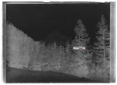 Old Black And White Photo Glass Plate Negative 6X9 Cm Landscape Alps Mountain