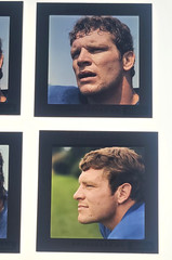 Vtg 60s MIKE CURTIS RC BALTIMORE COLTS PORTRAITS Richard Stacks FOOTBALL NFL