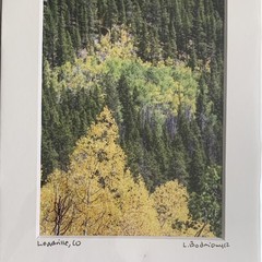 Set of Two Leadville Colorado Photo Prints – Matted – Barn Fall Colors Decor