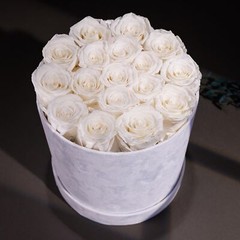 17 Flowers in a Luxury Suede Box, Birthday Gifts for Women, Preserved Flowers…