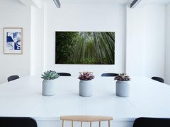 Arashiyama Bamboo Grove photo print