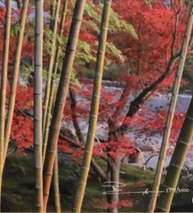 Signed Limited Edition Color Nature Photo Prints Set of 4: Waterfall Koi Bamboo