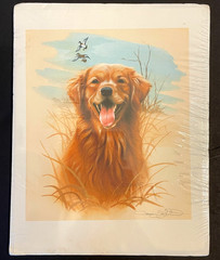 Larry Beckstein Handsigned Artist Print Golden Retriever Hunting Dog 8.5 x 11