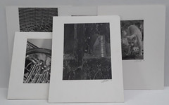 Original Signed Photos on Board Lot of 5 11 x 14 Whiteboard Various