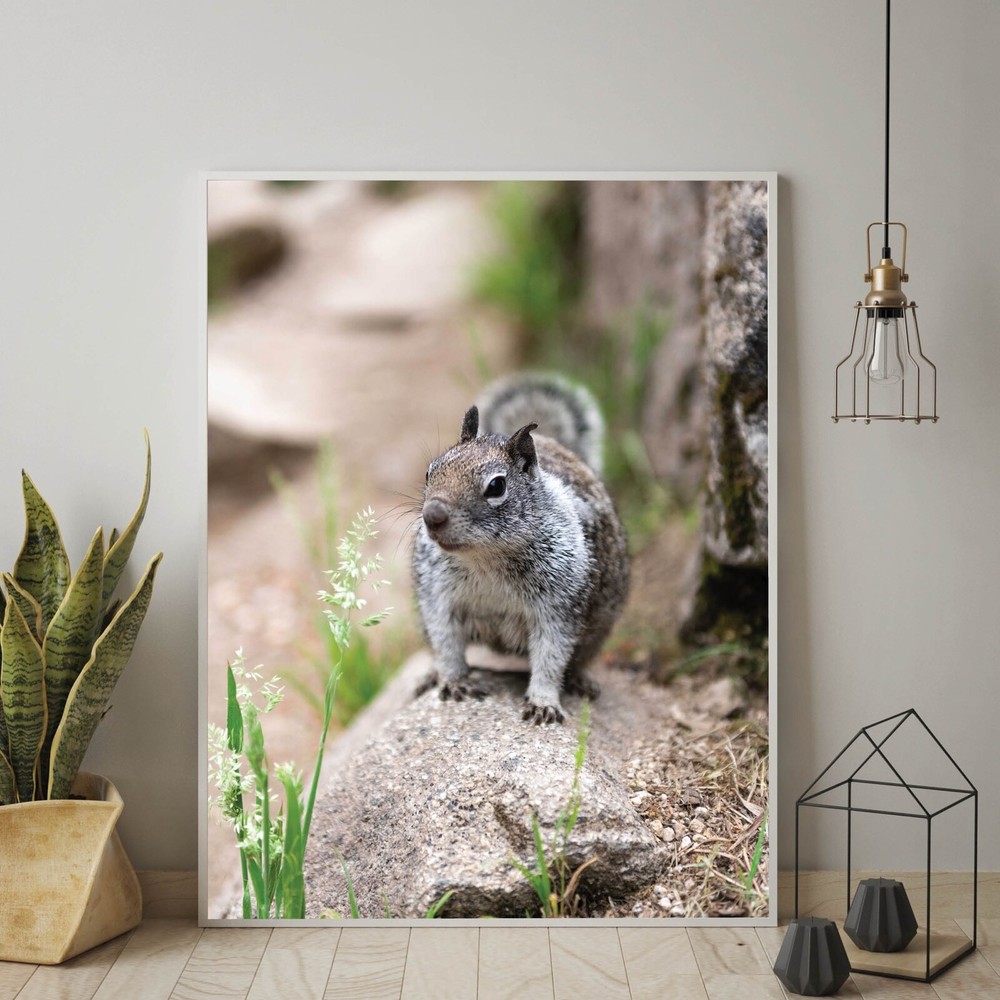 Cute Squirrel Close Up Photo Wall Print, Wildlife Nature Photography Yosemite NP