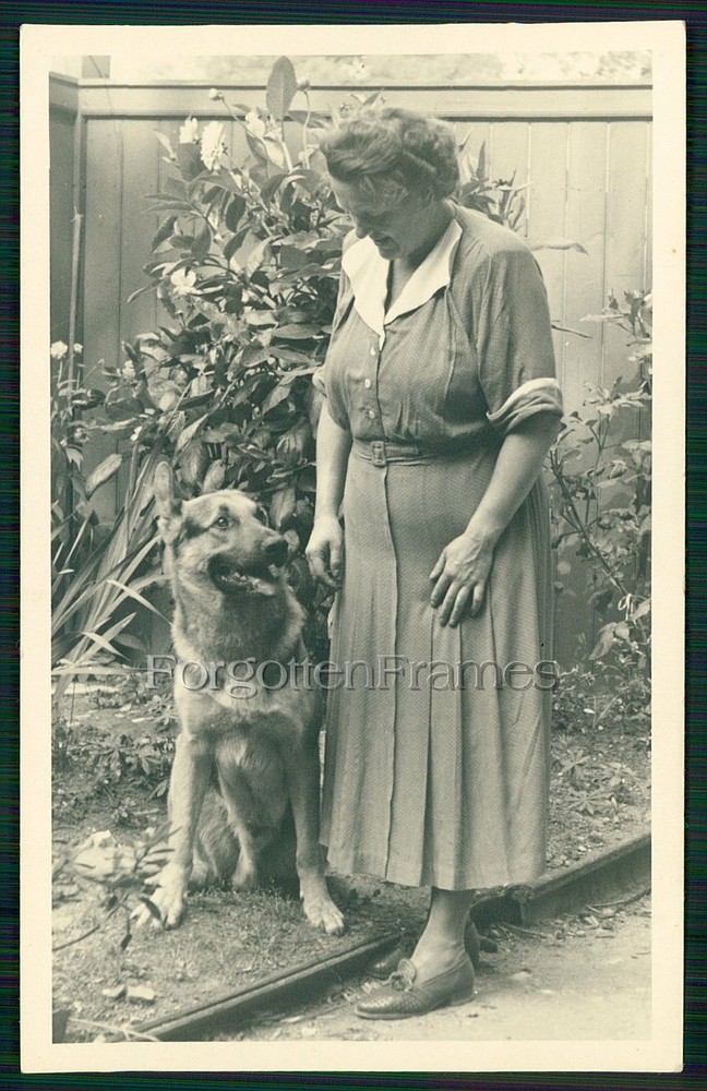 Photo woman posing with dog German Shepherd WOMAN w DOG German shepherd photo