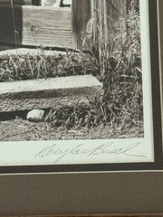Douglas Busch Signed Original Fine Art Photograph 1983 Framed 17×25 Midwest