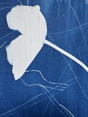 Botanical Cyanotype Print | Handmade Blue Sun Print | Fine Art Photography 20×30
