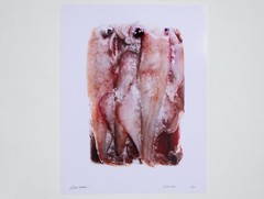 Squid in Ice – 17″ x 22″ Fine Art Photography Print – Artistic Food Photography