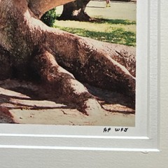 Original Photograph On Matte Paper & Matted To A 12” x 16” And Ready To Frame