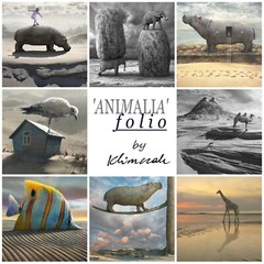 Signed ORIGINAL Animal Art Folio of Hippos Elephants Giraffe Camel & Fish Prints