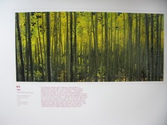 Photo Exhibit Book Iwahashi Takashi The Rockies from Alaska to Mexico 1994-1997
