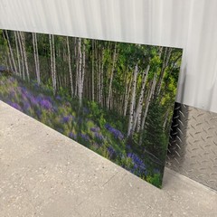 Peter Lik «Aspen Impressions» Trees 150cm (5 Feet Long) Recess Mount With COA
