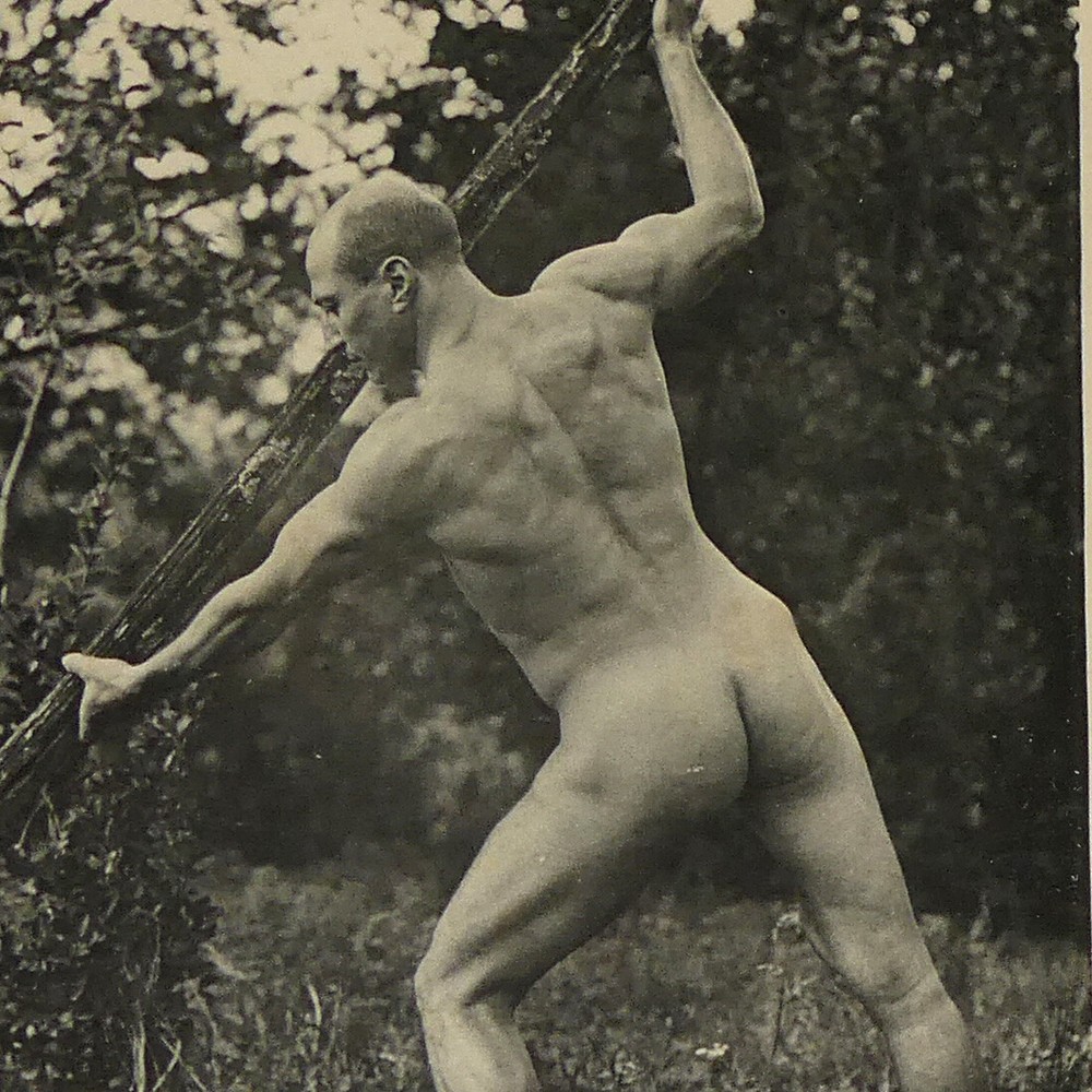 Man Collotype Photo Plate 1905 Muscle Athletic Gay Interest Naked Male Pluschow