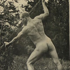 Man Collotype Photo Plate 1905 Muscle Athletic Gay Interest Naked Male Pluschow