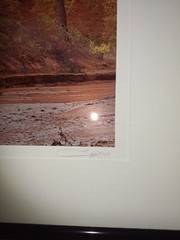Authenic Michael Fatali Cibochrome Photography USA SW BEAUTIFUL