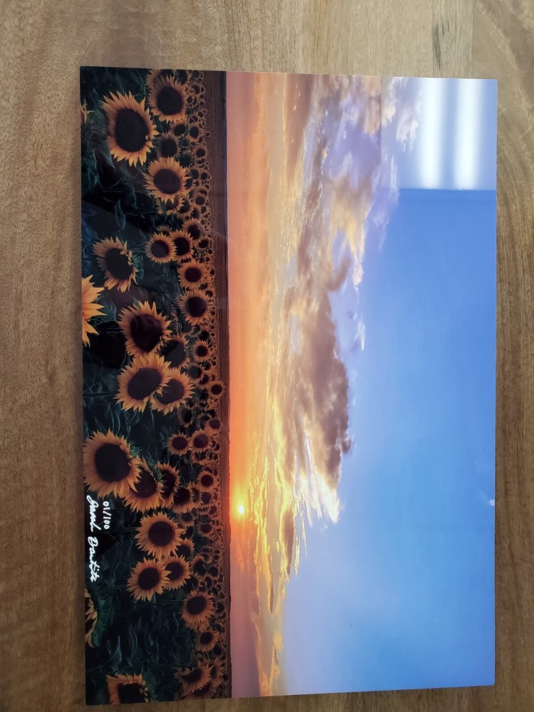 professional photography. 12×18 Aluminum print. Photographed by Jacob Bautista.