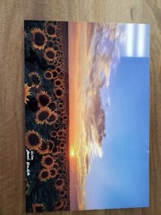 professional photography. 12×18 Aluminum print. Photographed by Jacob Bautista.