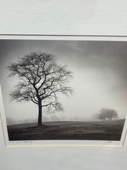 Richard Calvo ‘In Just Spring’ Framed Black & White Landscape Tree Photograph