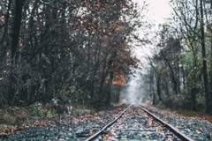 Digital Image Picture Photo Pic Wallpaper Background Railways in Forest