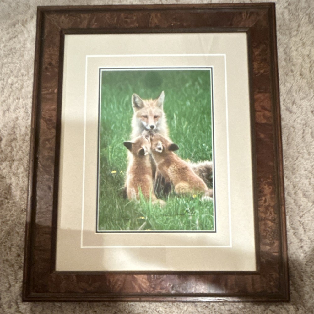 Thomas Mangelsen “Images of Nature – Fox Family” signed framed color photo