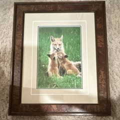 Thomas Mangelsen “Images of Nature – Fox Family” signed framed color photo