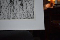 Michael A Smith Photography Signed «Vines on the Wall» Contact Print