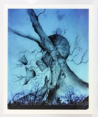 SIGNED DIBOND PICTURE » DRAWING » MADE BY TOP MODEL HELENA CHRISTENSEN