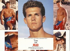 Original 1980s TORY JEFFREY 18 3.5×5 inch malemodel PLUS modeling cards gay int