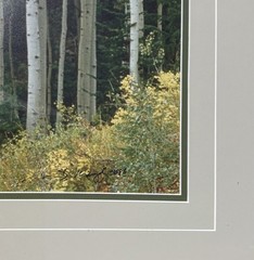 Thomas Mangelsen Guardsmans Pass – Aspen. Larger Out of Print Collectors Edition
