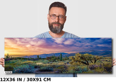 Desert Wonderland: Painted Sky Sunset Sabino Canyon Wall Art Cactus Canvas Print