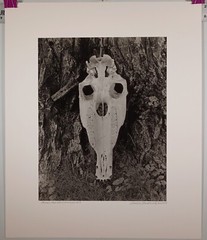 Large Format Black & White Photo Primal Manifestation #9 by Charles Fendrock