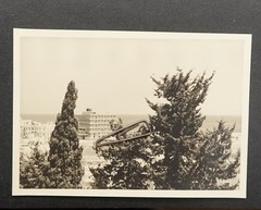 Photo View Beirut Lebanon Hotel Building Mediterranean Inn Picture Trees Old