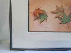 «Birdbath with Leaves» Framed Photograph by Gary Carlson
