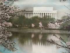 JAPANESE CHERRY TREES BUCKINGHAM WASHINGTON DC HAND COLORED PHOTOGRAPH LANDSCAPE