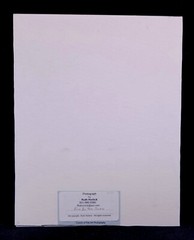 Original Smurf Photo 14 X 11 Matted Signed Ruth Horlick Titled Fun In The Snow