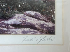 Signed Terrell Lester Cadillac Mountain No. 1 Maine Photo 1987 Art Photography
