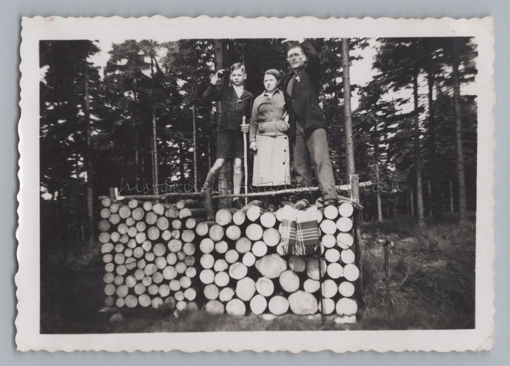 Steinberg near Schmiedeberg Kovářská Bohemia Czech Republic – Wood Pile – Photo 1930s