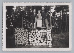 Steinberg near Schmiedeberg Kovářská Bohemia Czech Republic – Wood Pile – Photo 1930s