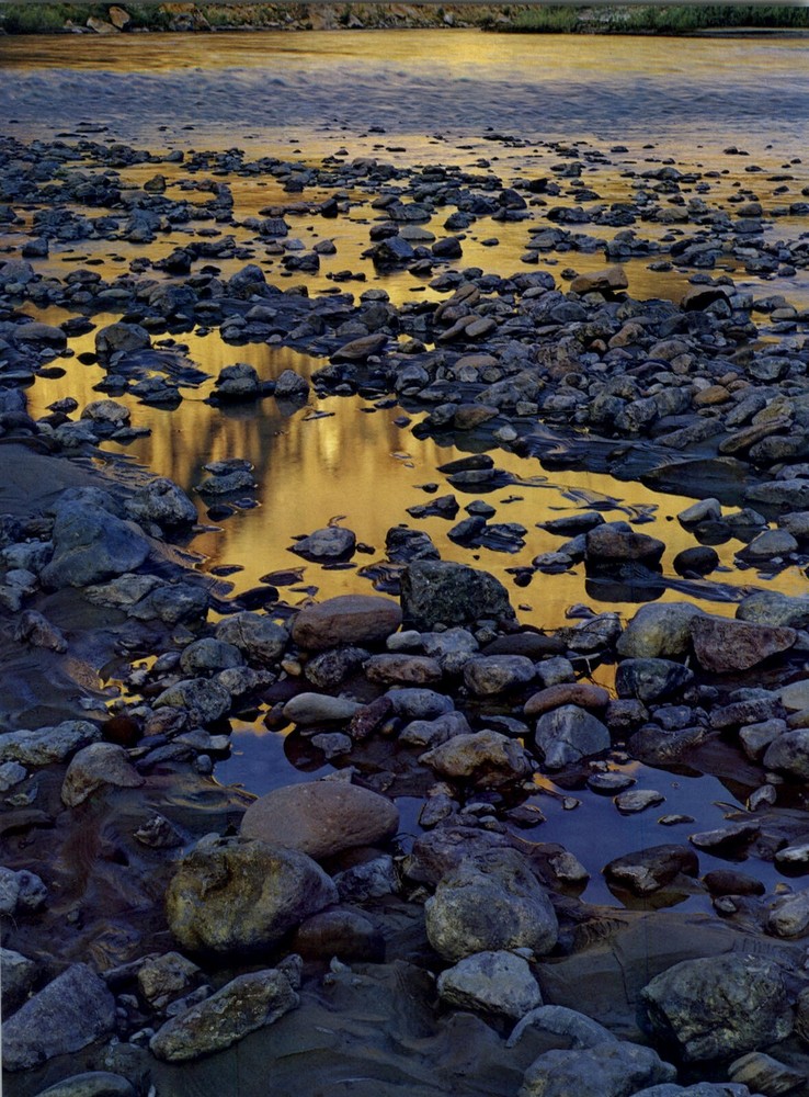 1962 Eliot Porter Glen Canyon Cobble Stones San Juan River Art Photo Gravure