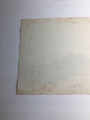 Vintage MCM Art Treasures Inc John Loo Nature Lithograph on Canvas Unframed G3