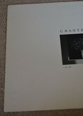 Robert Mapplethorpe SIGNED Untitled (Still Life of Vase and Flowers) Chanterelle