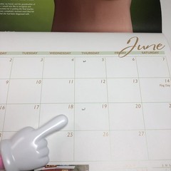 Lifebridge BRAVO 2008 Calender Art Bra Breast Cancer Awareness Avant Garde