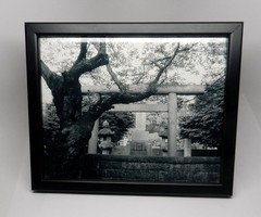 2 Framed Original Photograph Tokyo Japan Asian Cemetery Graveyard Black White