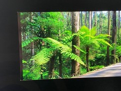 Peter Lik – Original Panoramic Slide Pieces of Film: Qty-5 (Very Rare Items)