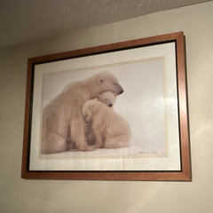 Kennand Ward Signed Framed Polar Bear Color Photograph Wall Art, Landscape