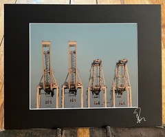 Four Cranes at Dusk, Oakland, California. Matted Fine Art Photographic Print